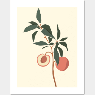 Lovely Peaches Modern Minimalistic Illustration Posters and Art